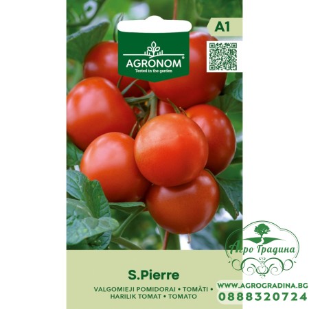 Домат Сейнт Пиер Saint Pierre