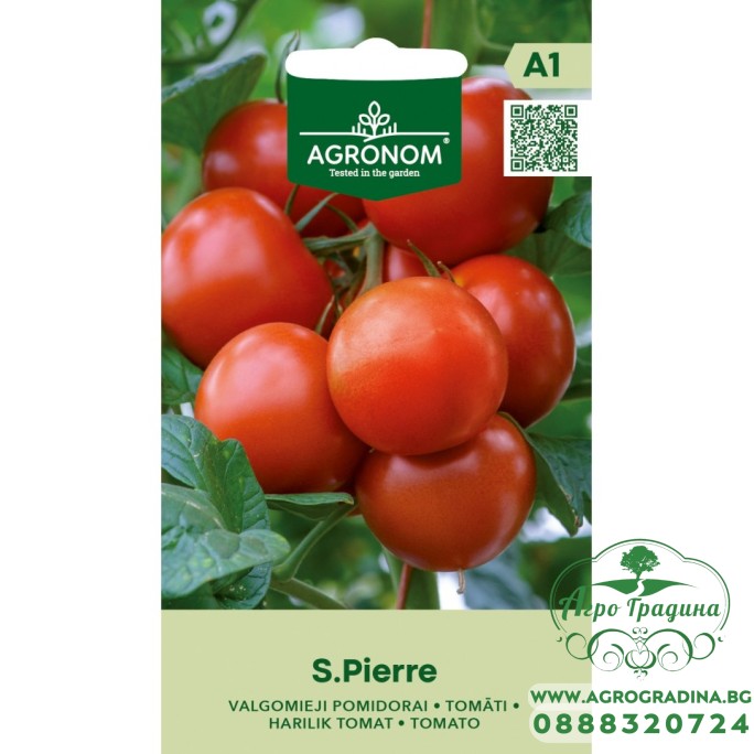 Домат Сейнт Пиер Saint Pierre