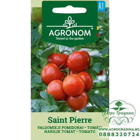Домат Сейнт Пиер / Saint Pierre