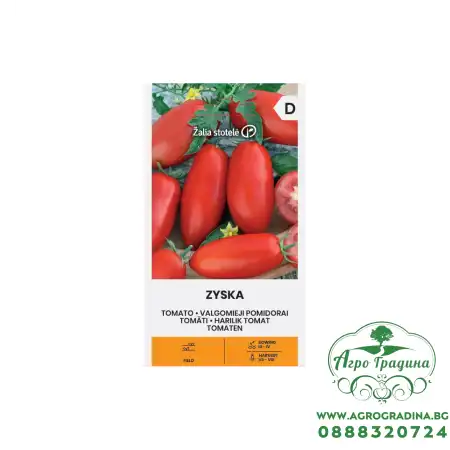 Домат Зиска Zyska