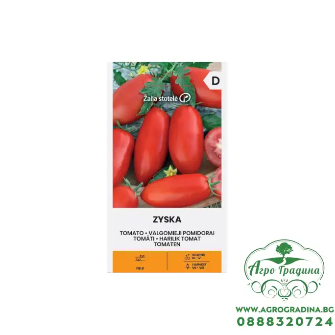 Домат Зиска / Zyska