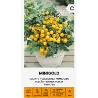 Чери домати Миниголд / Minigold