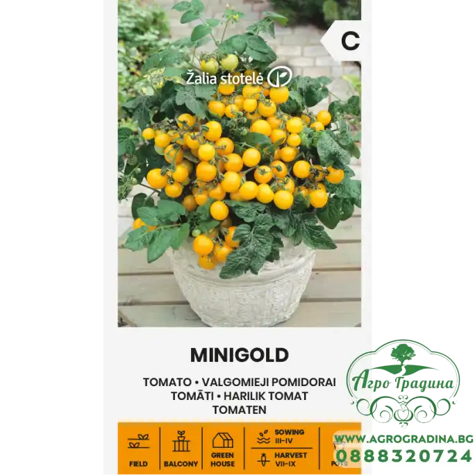 Чери домати Миниголд / Minigold