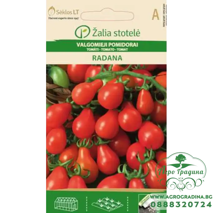 Домат чери червено крушовидно / Radana