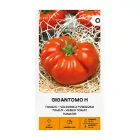 Домат Гигантомо F1 (достига до 1кг) / Gigantomo H