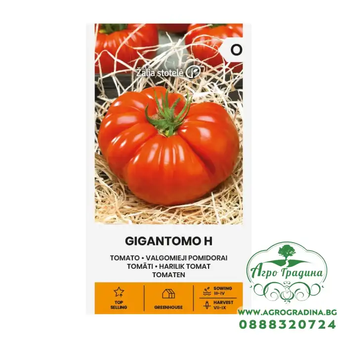 Домат Гигантомо F1 (достига до 1кг) / Gigantomo H