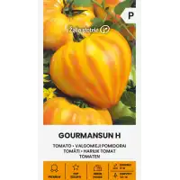 Домат Жълто сърце Gourmansun F1