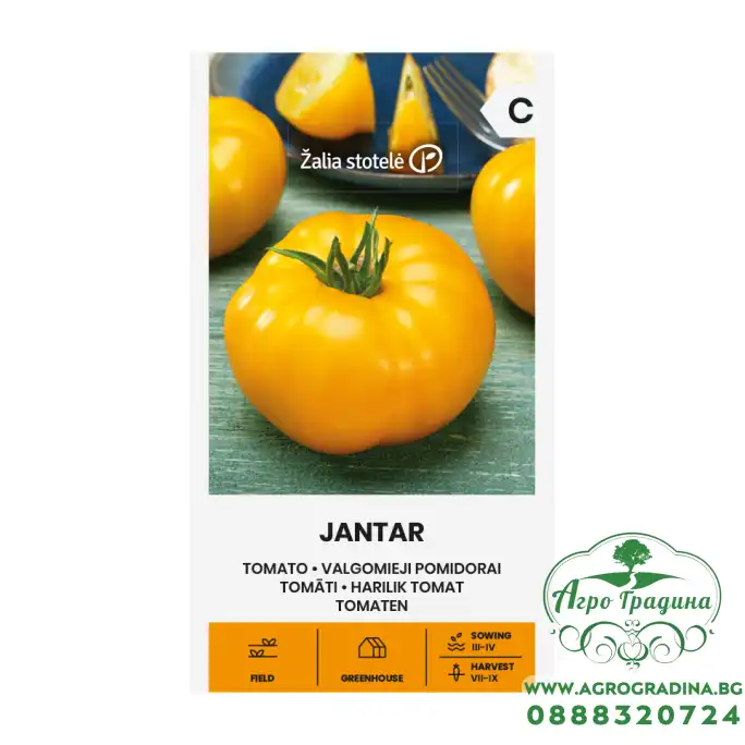 Домат Жантар Jantar