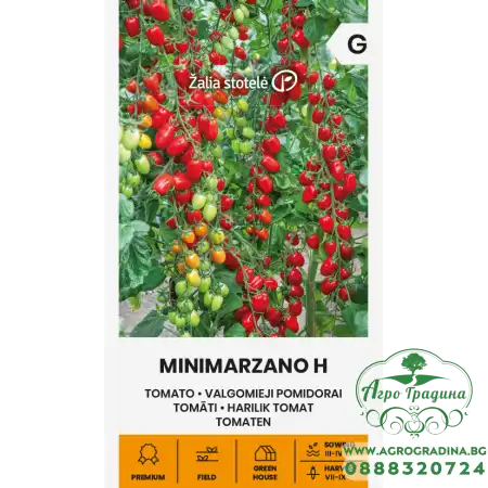 Домати Минимарцано F1 Minimarzano H