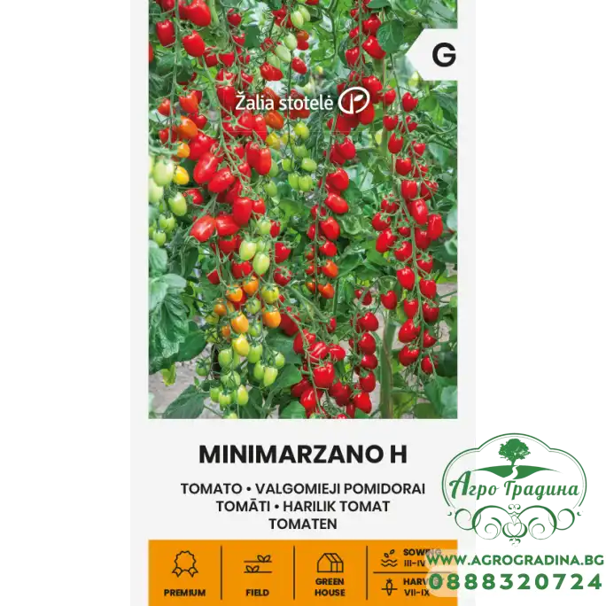 Домати Минимарцано F1 / Minimarzano H Домати Минимарцано F1 / Minimarzano H