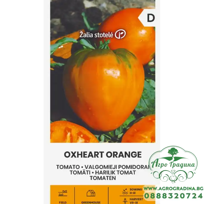 Домати Оранжево сърце Oxheart orange
