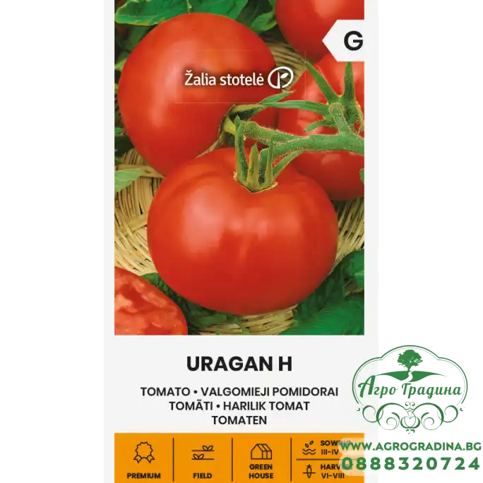 Домати Ураган F1 Домати Ураган F1