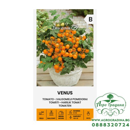 Чери домати Венус / Venus