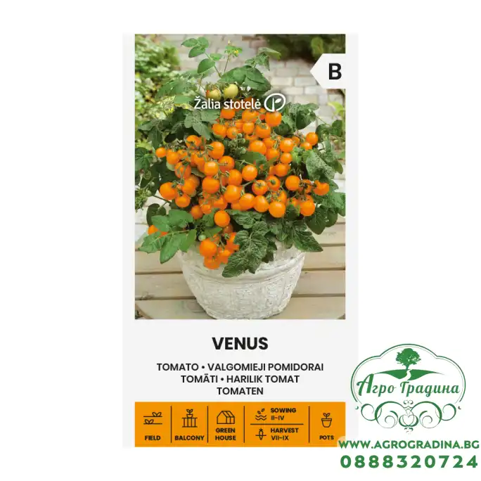 Чери домати Венус / Venus