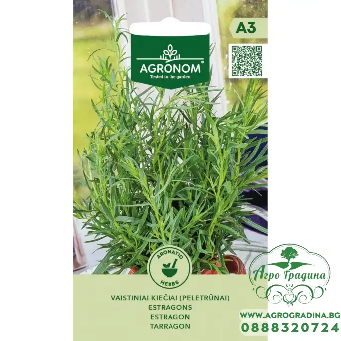 Естрагон Artemisia dracunculus