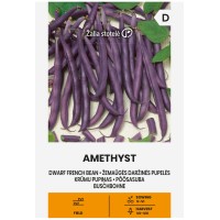 Фасул Аметист (нисък, цилиндричен, лилав)