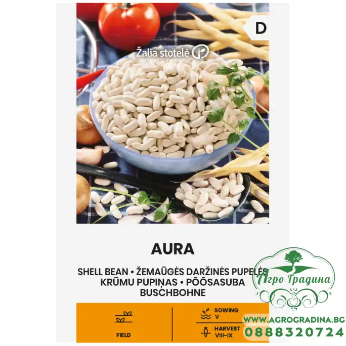Фасул за зрял Аура Aura (храстовиден с бяло зърно)