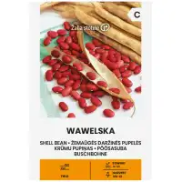 Фасул за зрял Вавелска Wawelska (храстовиден с червено зърно)