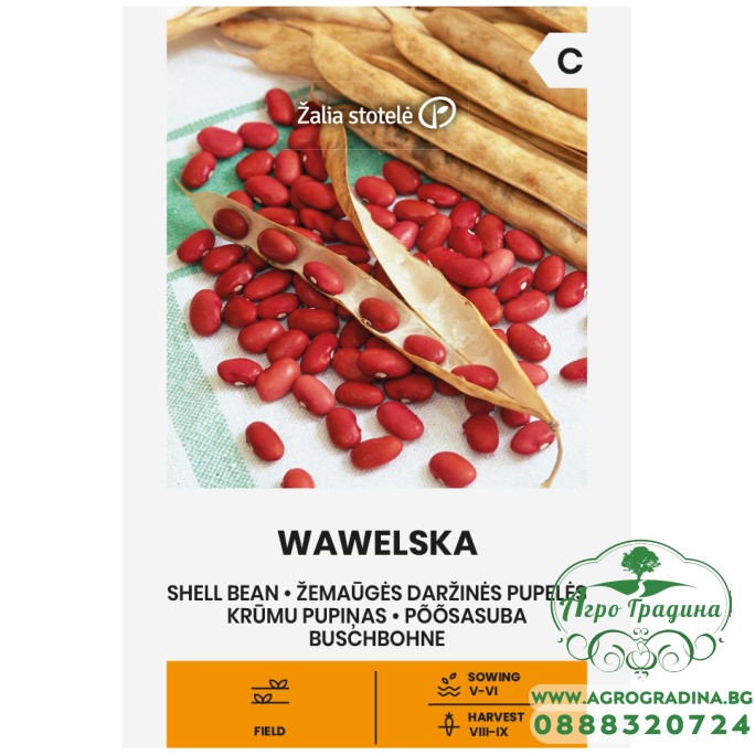 Фасул за зрял Вавелска / Wawelska (храстовиден с червено зърно)