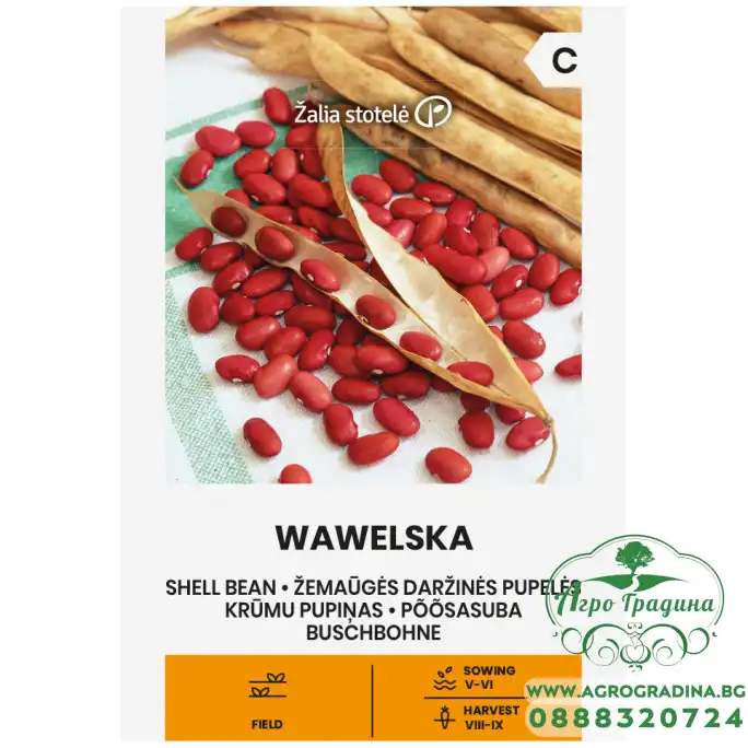 Фасул за зрял Вавелска Wawelska (храстовиден с червено зърно)
