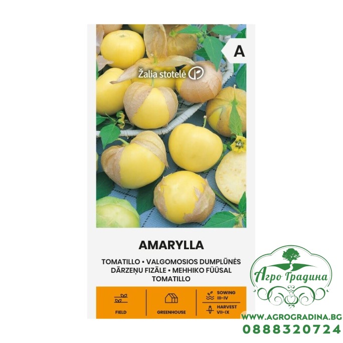 Физалис Амarylla – ядлив физалис (Physalis ixocarpa)