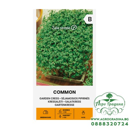 Семена за микро Крес Коммон /  Lepidium sativum L 