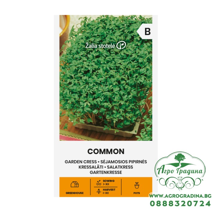 Семена за микро Крес Коммон /  Lepidium sativum L 