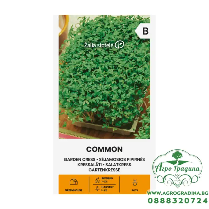 Семена за микро Крес Коммон Lepidium sativum L Семена за микро Крес Коммон Lepidium sativum L