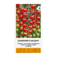 Чери Домати Гарденер Делайт Gardeners Delight