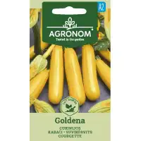 Тиквички Голдена Goldena