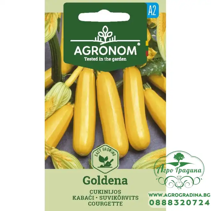 Тиквички Голдена Goldena