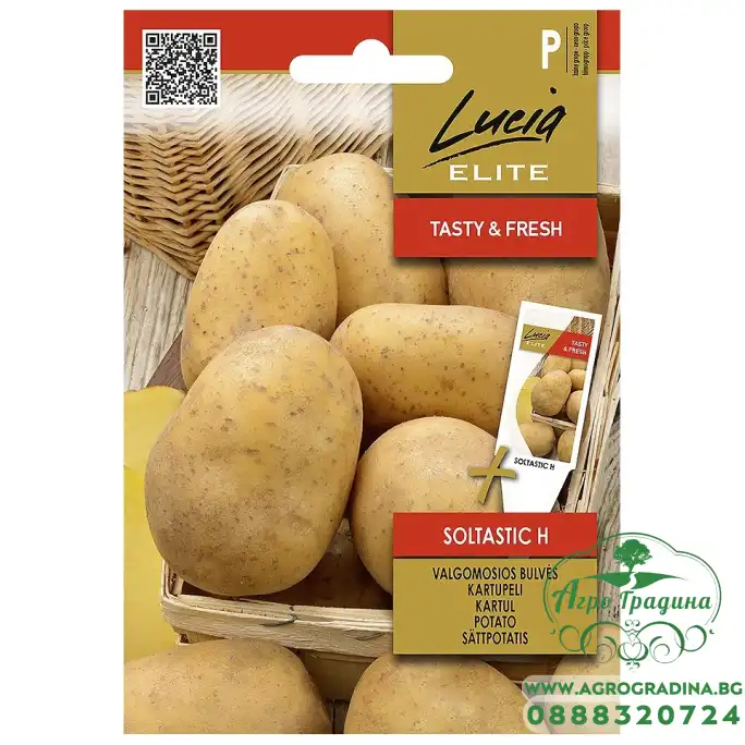 Картофи Солтастик F1 Soltastic H