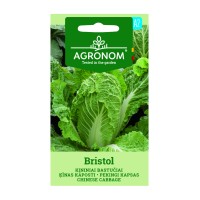 Китайско зеле Бристол Bristol