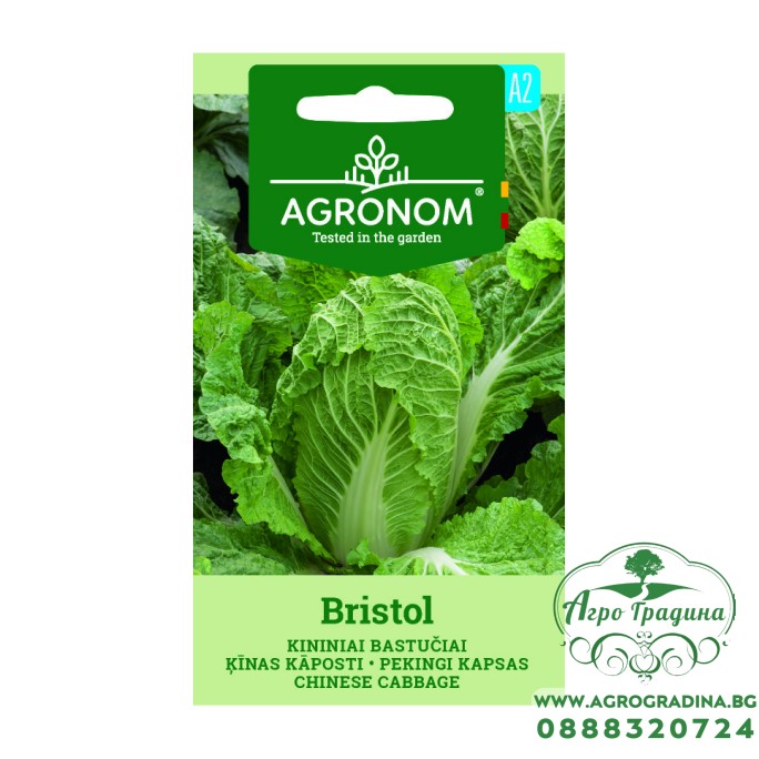 Китайско зеле Бристол Bristol