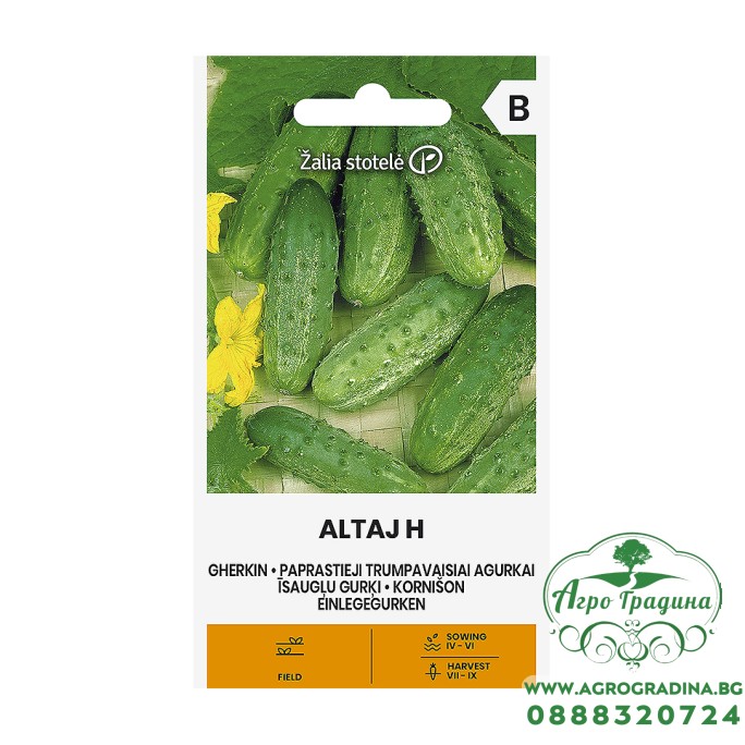 Корнишони Алтай F1 Altaj H