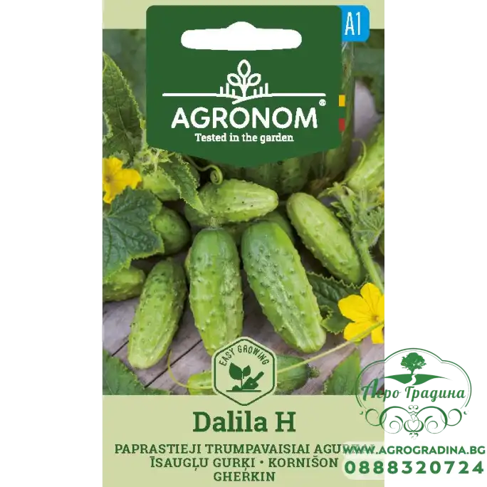 Корнишони Далила F1 / Dalila