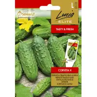 Корнишони Корвета F1 Corveta H