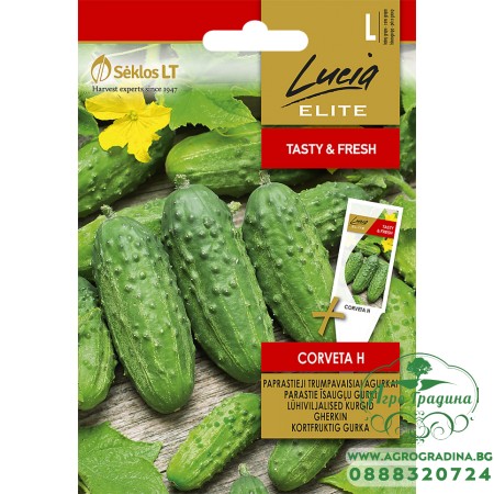 Корнишони Корвета F1 Corveta H