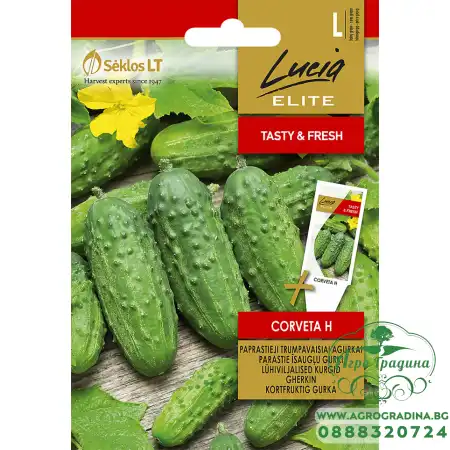 Корнишони Корвета F1 Corveta H