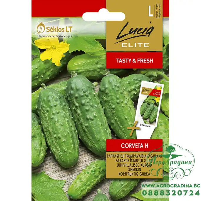 Корнишони Корвета F1 Corveta H