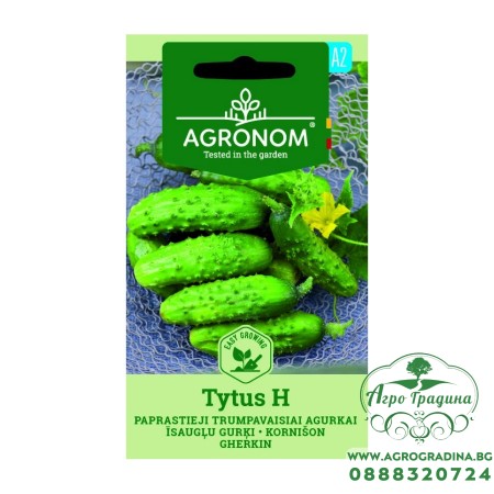 Корнишони (мини) Титус F1 / Tytus H