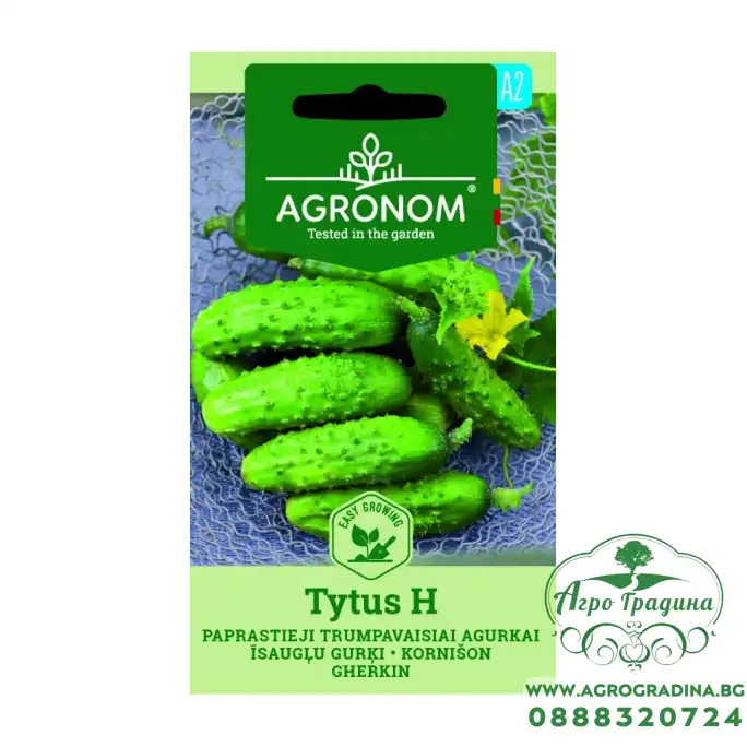 Корнишони (мини) Титус F1 / Tytus H