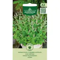 Непета (Котешка трева Коча билка) Nepeta cataria