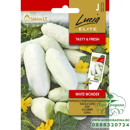 Краставица Бяло чудо White wonder