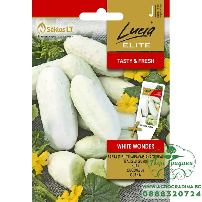 Краставица Бяло чудо  / White wonder