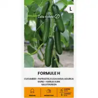 Краставици Формула F1 / Formule H