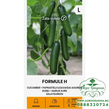 Краставици Формула F1 Formule H