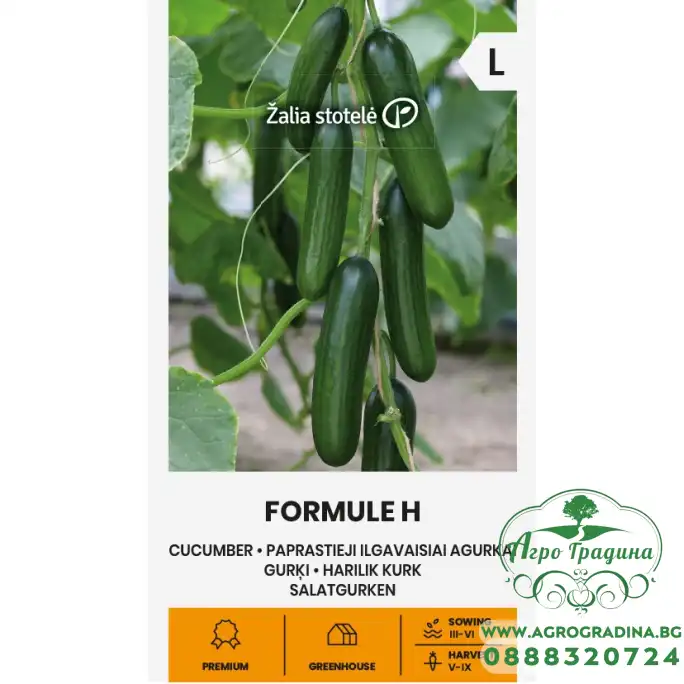 Краставици Формула F1 / Formule H