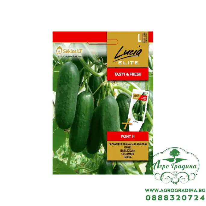 Краставици Пони F1 / Pony H