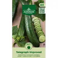 Краставици Телеграф Подобрени / Telegraph Improved